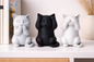 Trio de Gatos “Não Vejo, Não Ouço, Não Falo"